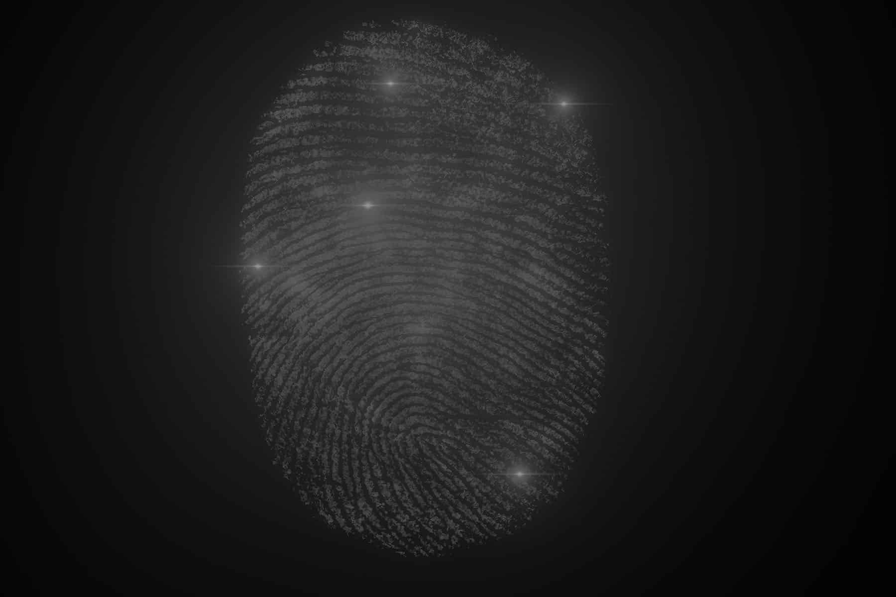 Zutrittssystem per Fingerprint, Biometrische Erkennungssysteme
